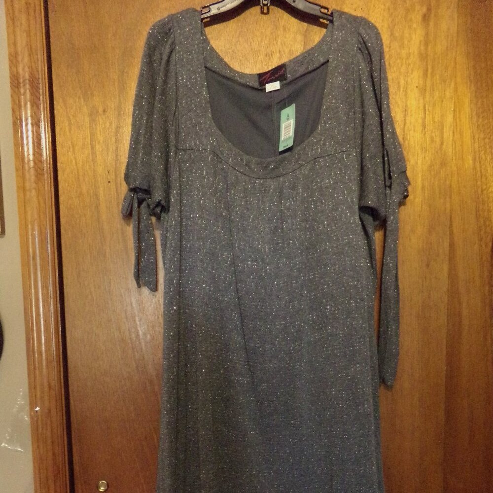NWT Torrid Gray Short Sleeve Silver Sparkle Knee Length Dress - size 2